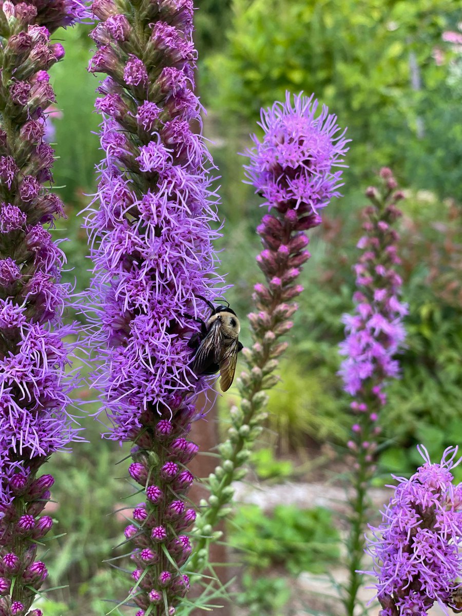 Cincinnati Zoo tweet media