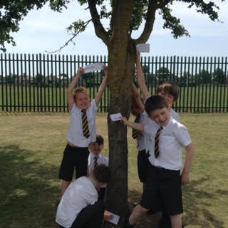 Y1OLOL's tweet photo. Year 1 enjoyed labelling the different parts of a tree. Do you know where the crown of the tree is? How about the buds? @OLOLCPrimary https://t.co/m7HbKXoGLh
