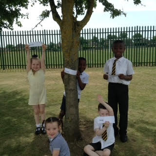 Y1OLOL's tweet photo. Year 1 enjoyed labelling the different parts of a tree. Do you know where the crown of the tree is? How about the buds? @OLOLCPrimary https://t.co/m7HbKXoGLh
