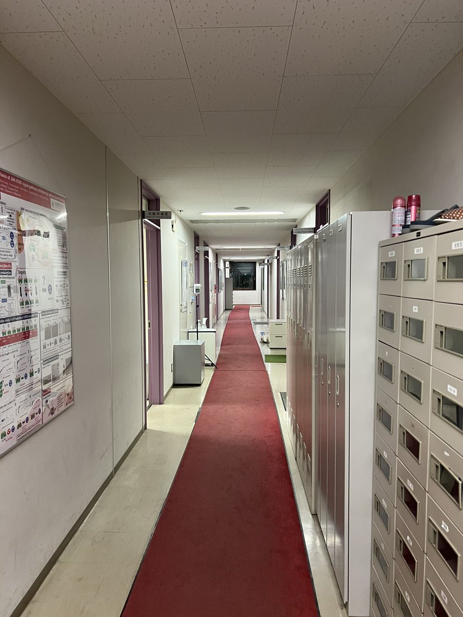 Minghao Chen (@minghaochen10) on Twitter photo Finished 3-month stay in my PhD lab at Hokkaido University <a href="/HokkaidoUni/">Hokkaido University</a>. Thank Prof. Ose and the entire lab for the heartwarming hospitality! It was a great opportunity to review and confirm myself. Now I’m prepared and looking forward to the next journey of my life😁✈️🤙 Finished 3-month stay in my PhD lab at Hokkaido University <a href="/HokkaidoUni/">Hokkaido University</a>. Thank Prof. Ose and the entire lab for the heartwarming hospitality! It was a great opportunity to review and confirm myself. Now I’m prepared and looking forward to the next journey of my life😁✈️🤙