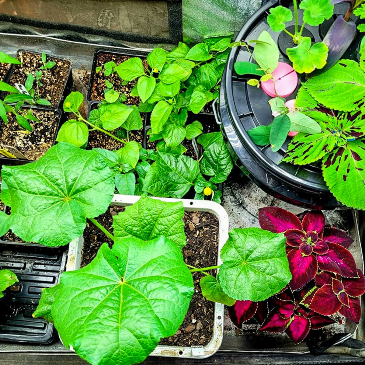 HTGSupply tweet media