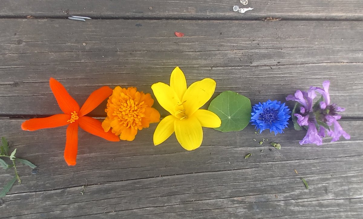 Annette Lippestad (@alippestad) on Twitter photo 