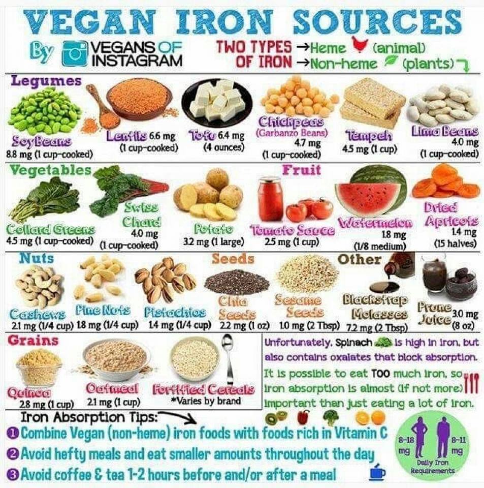 Vegan Future tweet media