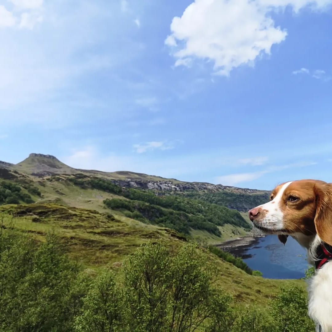 That's us closed for a couple of days again. See you on Tuesday at 12:00 when we reopen for lunch. ❤️
(Our team are all off for bit of waterfall abseiling today which should be just the thing after a busy week of work 🙂 🧗 #raasay #outdoors #worklifebalance #getactive #relax