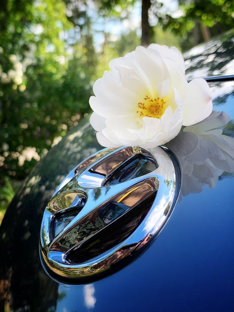 Pojan kanssa hupiajelu keskustaan, keskikulutus näytti 8,7 kWh/100 km. 
Pitkän aikavälin keskiarvokin 13,4 kWh/100 km. Sähköauto on aina käyttökuluiltaan edullinen, mutta nämä genren supersuorittajat on oma lukunsa 💯 #Hyundai #KonaElectric