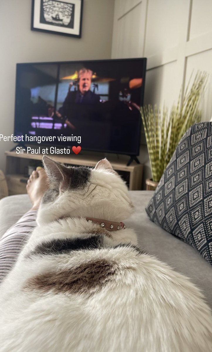 Watching Sir Paul rock <a href="/glastonbury/">Glastonbury Festival</a> at 80 🎸 

Even Florence is enjoying it 😻 

Makes me so proud to be a scouser, even though I’m a plastic one from across the water 🤣