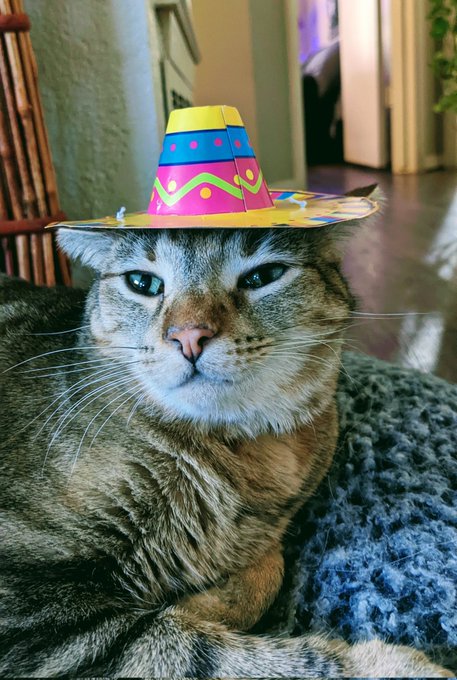 My chillins 🥰 https://t.co/Y7eNczHcdk<a href="/tag/happysaturday"class="tags"><span>#happysaturday</span></a><a href="/tag/bbw"class="tags"><span>#bbw</span></a><a href="/tag/chubby"class="tags"><span>#chubby</span></a><a href="/tag/curvygoddess"class="tags"><span>#curvygoddess</span></a><a href="/tag/onlyfans"class="tags"><span>#onlyfans</span></a>