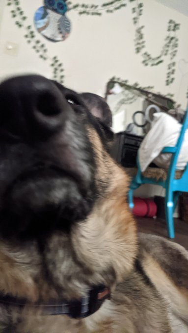 My chillins 🥰 https://t.co/Y7eNczHcdk<a href="/tag/happysaturday"class="tags"><span>#happysaturday</span></a><a href="/tag/bbw"class="tags"><span>#bbw</span></a><a href="/tag/chubby"class="tags"><span>#chubby</span></a><a href="/tag/curvygoddess"class="tags"><span>#curvygoddess</span></a><a href="/tag/onlyfans"class="tags"><span>#onlyfans</span></a>