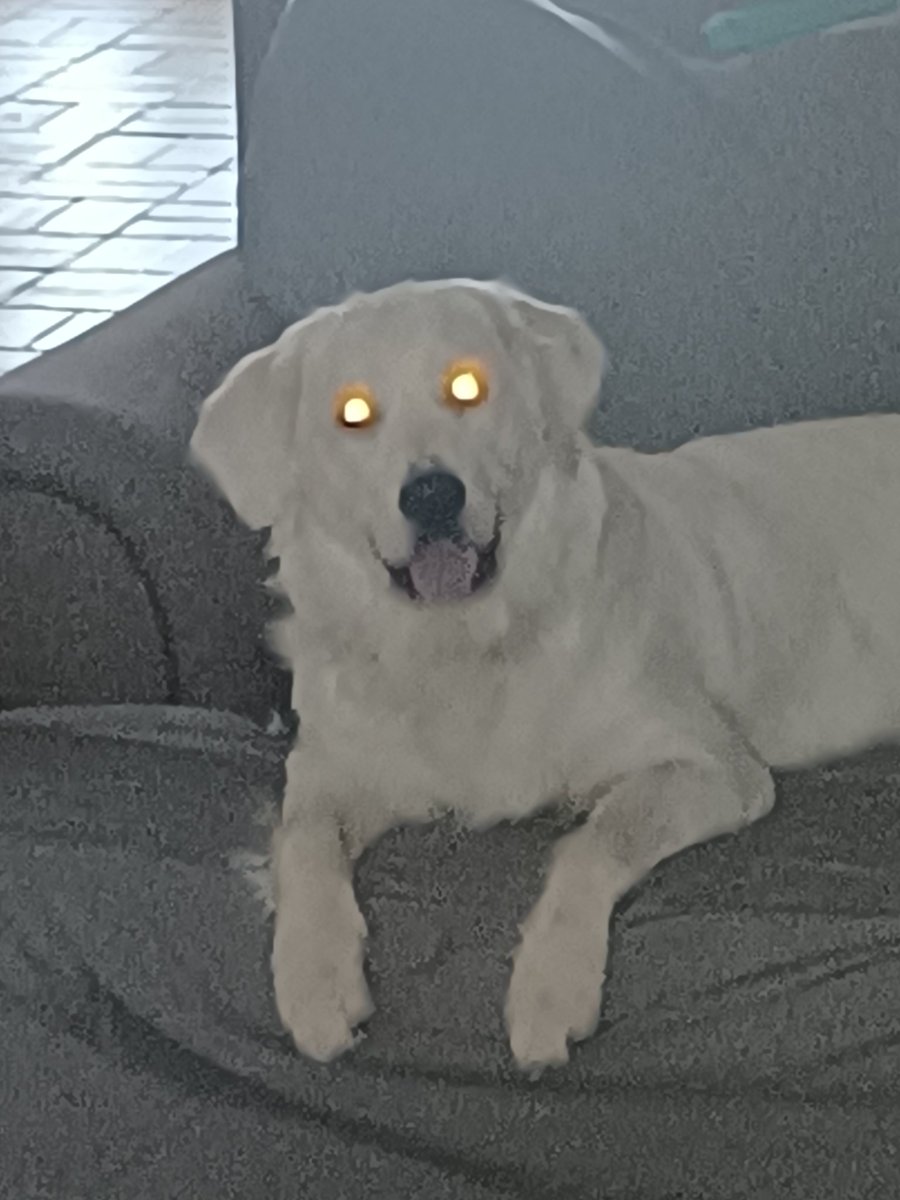 Ripley, buys the dips #BTC #lazereyes