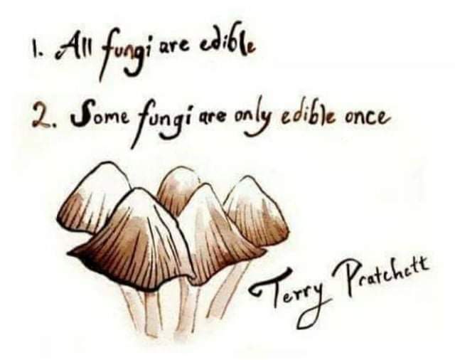 A little Sunday humor.
@culinarymysteries.net