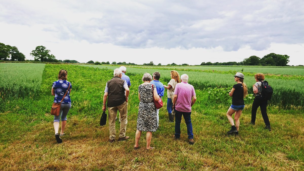 Rondleiding voor de Vrienden van Twickel langs de strokenteelt op de Deldeneresch. Thema: effect van strokenteelt op de natuur, samenwerking met collegae boeren en streekproducten met een eerlijke prijs voor de boer.
#twickel #delden #strokenteelt #natuurinclusief #streekproduct