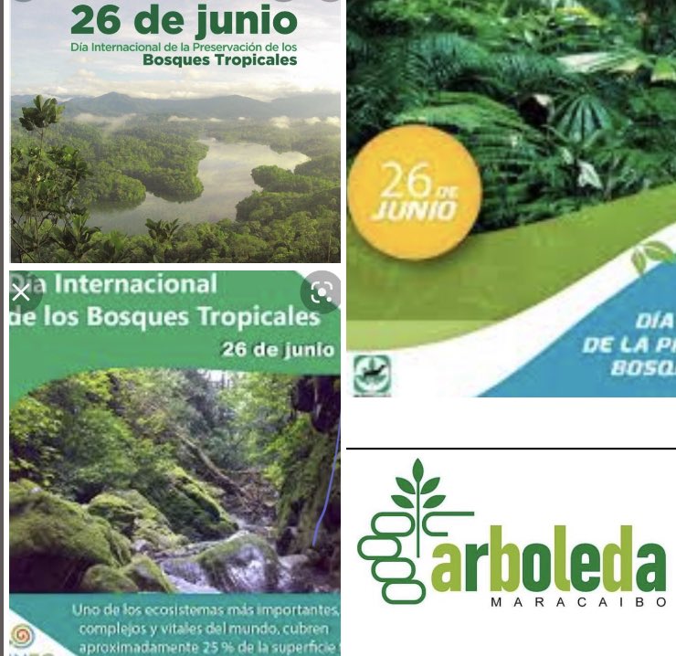 Arboleda_Mcbo's tweet image. Cuidemos nuestros bosques, ellos mejoran el clima, favorecen la biodiversidad, favorecen el sustento de comunidades….