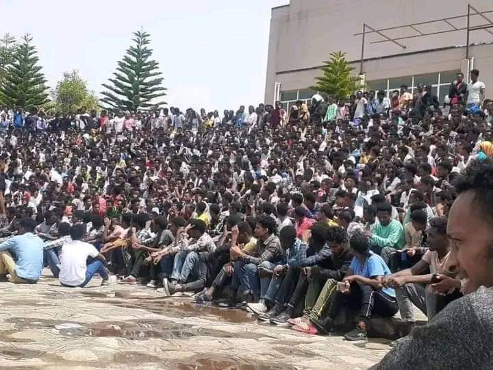 መግደል መብት ሆኖ ፥ ለሽፍቶች ሲታደል

መደበቁን ትተህ ፥ "እንቢኝ አትንኩኝ በል" 
 
ወልዲያ