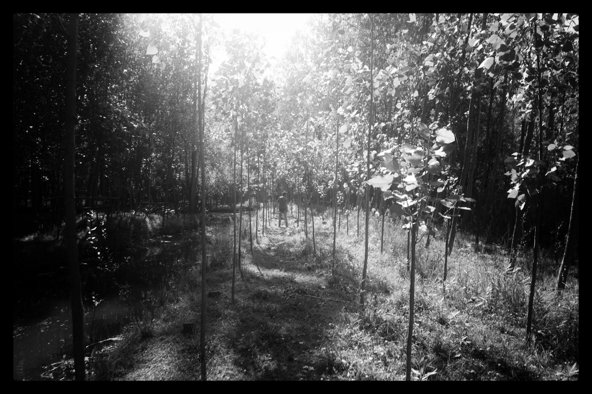 rayiskadir's tweet photo. Salik/ 
#kashmir #BnW #lensculture https://t.co/cSFtDfdLGm