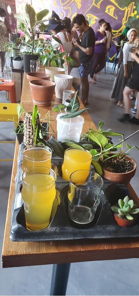 ColossalThrust's tweet photo. @3starsbrewing #plantswap https://t.co/oNMKNXaU3B