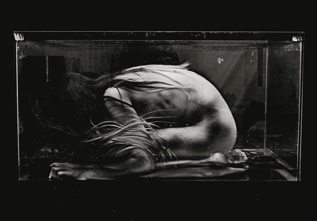KlingDeidra's tweet photo. (Caged Bird)
The free bird leaps
on the back of the wind and floats downstream
till the current ends
and dips his wings
in the orange sun rays
and dares to claim the sky... #MayaAngelou 
@BeautifulBzarre @NikonUSA #darkart #photography https://t.co/VmdNWfTeJJ