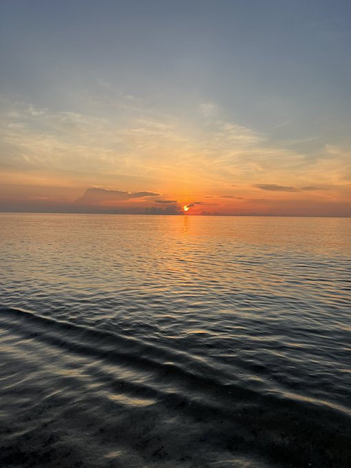 Caught the sunrise and a nut at the same time, Best combo ever, can&rsquo;t wait to this sunrise BJ scene 💦<a href="/tag/exxxoticamiami"class="tags"><span>#exxxoticamiami</span></a>