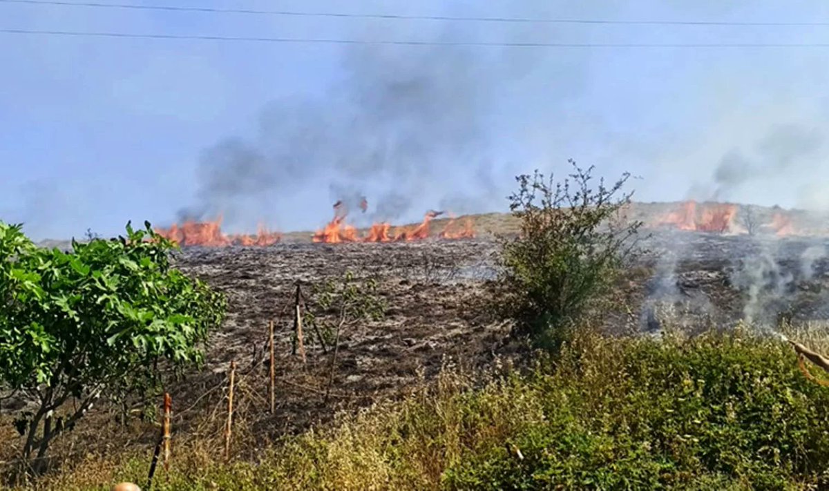 Bayramiç ilçesi Kutluoba köyü Çandır mevkisindeki buğday tarlasında biçerdöverle hasat yapıldığı sırada yangın çıktı. 25 dönümdeki buğdayın kül olduğu yangın, ormana sıçramadan helikopter ve arazözlerle yapılan müdahale sonucu söndürüldü.