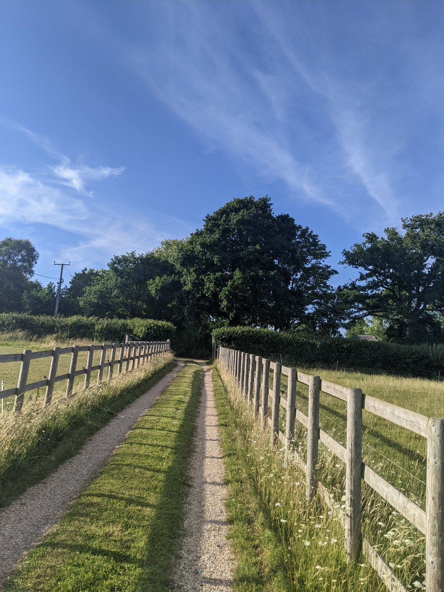 JeanRutter4's tweet photo. #rockingaphasia on a lovely weekend in the New Forest #AphasiaAwarenessMonth https://t.co/h0QD6N0T9Q