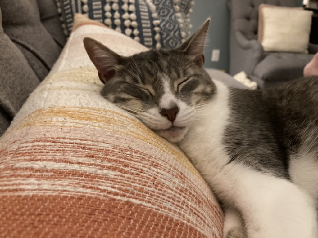 Heidi Fenton Tunison tweet media