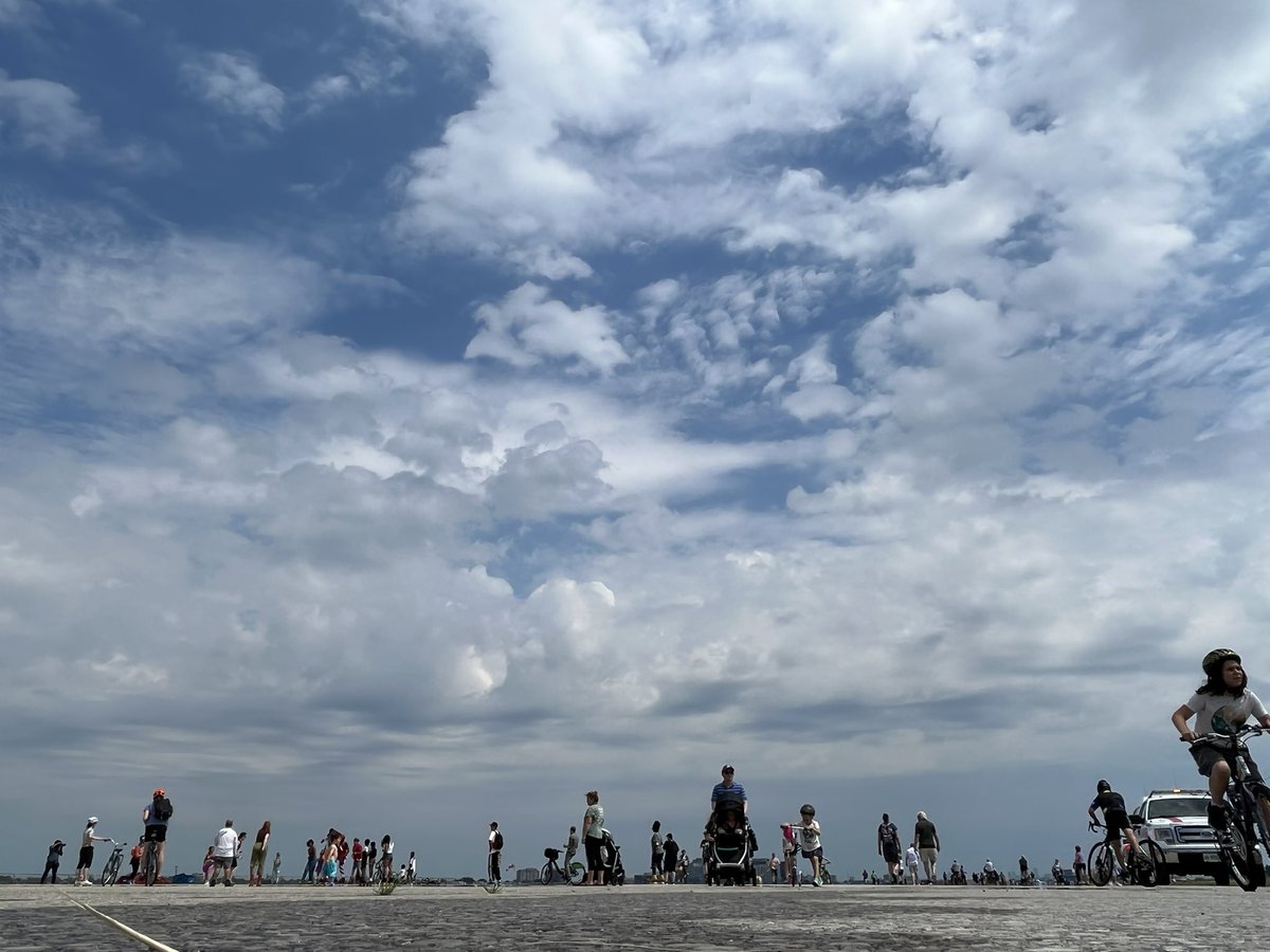 Mitchell Marcus tweet media