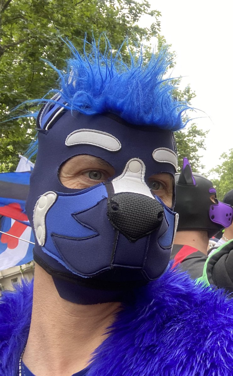 OXetal's tweet photo. @Jeremy_Wellness, back on the island Tuesday, I really need an haircut 🐶💙🍆 https://t.co/pyP5BzoRdL