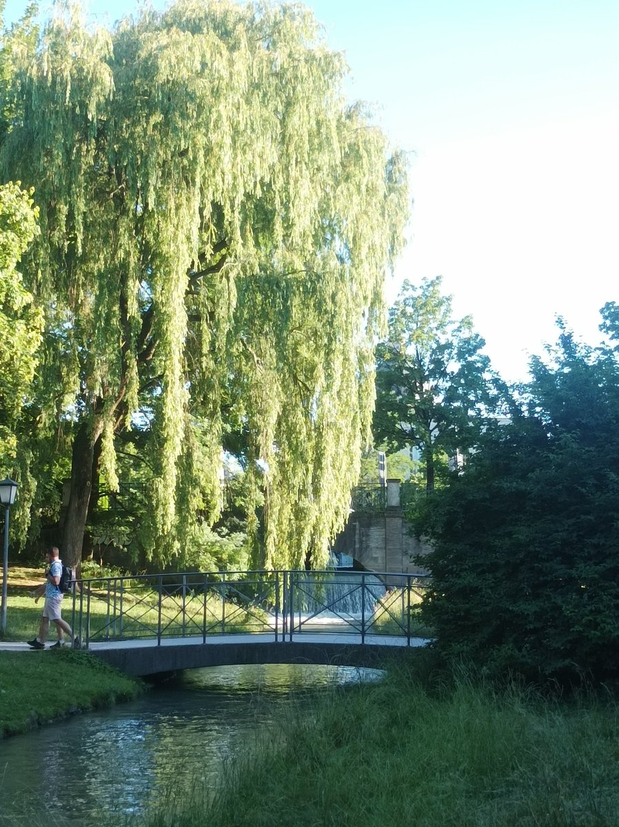danielaarias25's tweet photo. #Munich in summer is surreal #utopic https://t.co/jg5HYohLu1