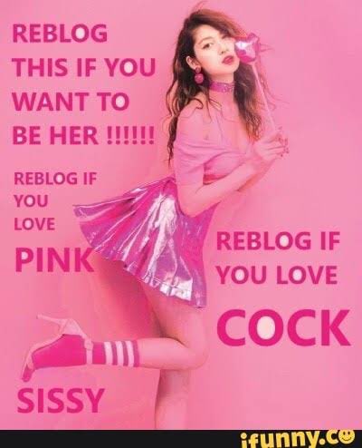 Reblog sissy