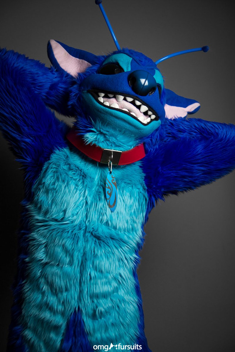 omgfursuits's tweet photo. Happy Stitch Day 😈 https://t.co/kGtCEkgqIo