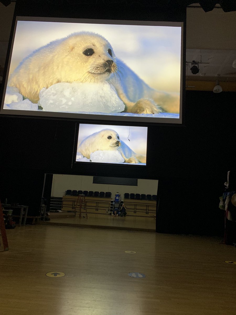 RiverAudioGlos's tweet photo. Lovely to supply and install a new dual projector and motorised screen system into Ysgol-y-Deri school in Wales. Multiple video feeds from laptops, Apple TV &amp; rack PC can all be easily routed and switched via the Kramer switcher with seem less audio switching as well. Brilliant https://t.co/dLw4JJrudM