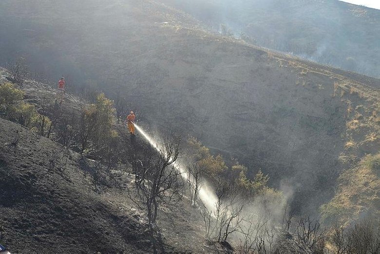 🔸Manisa’nın Salihli ilçesindeki ormanlık alanda yangın çıktı.

🔸Rüzgarın etkisiyle kısa sürede büyüyen #yangın ekiplerin havadan ve karadan müdahalesiyle söndürüldü.

 🔸Yangında yaklaşık 105 dönüm ormanlık alan zarar gördü.
