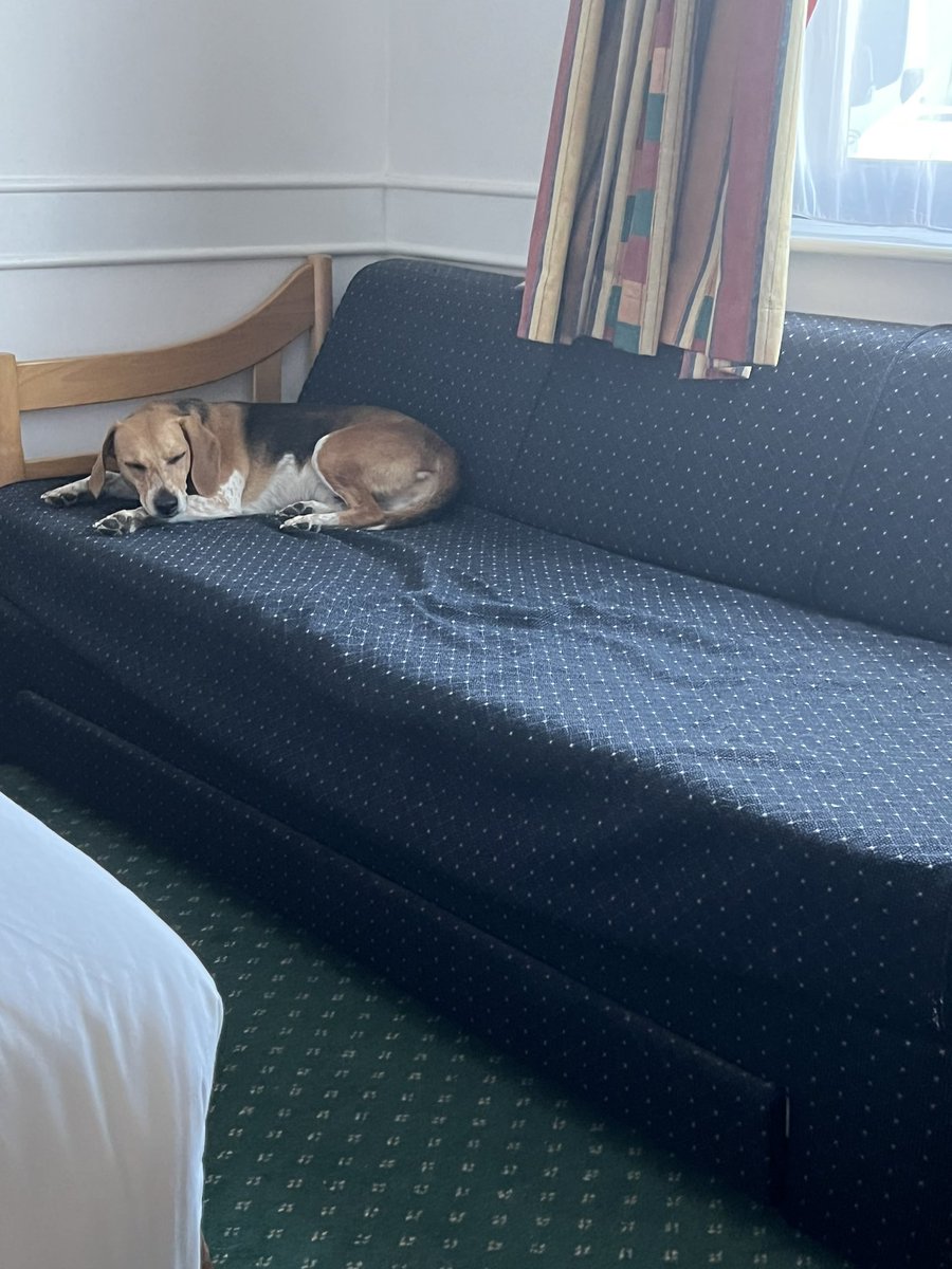 FitzTheBeagle's tweet photo. Well done to the Trucker that shielded us as we safely escaped the car, 👏🏻👏🏻👍🏻🥇#TrafficOfficer Jules and his buddy of the #HighwaysAgency 🥇then the 3 Kings of the #RoyalAutomobileClub 🥇who went above and beyond! https://t.co/cRwdrGwHN0