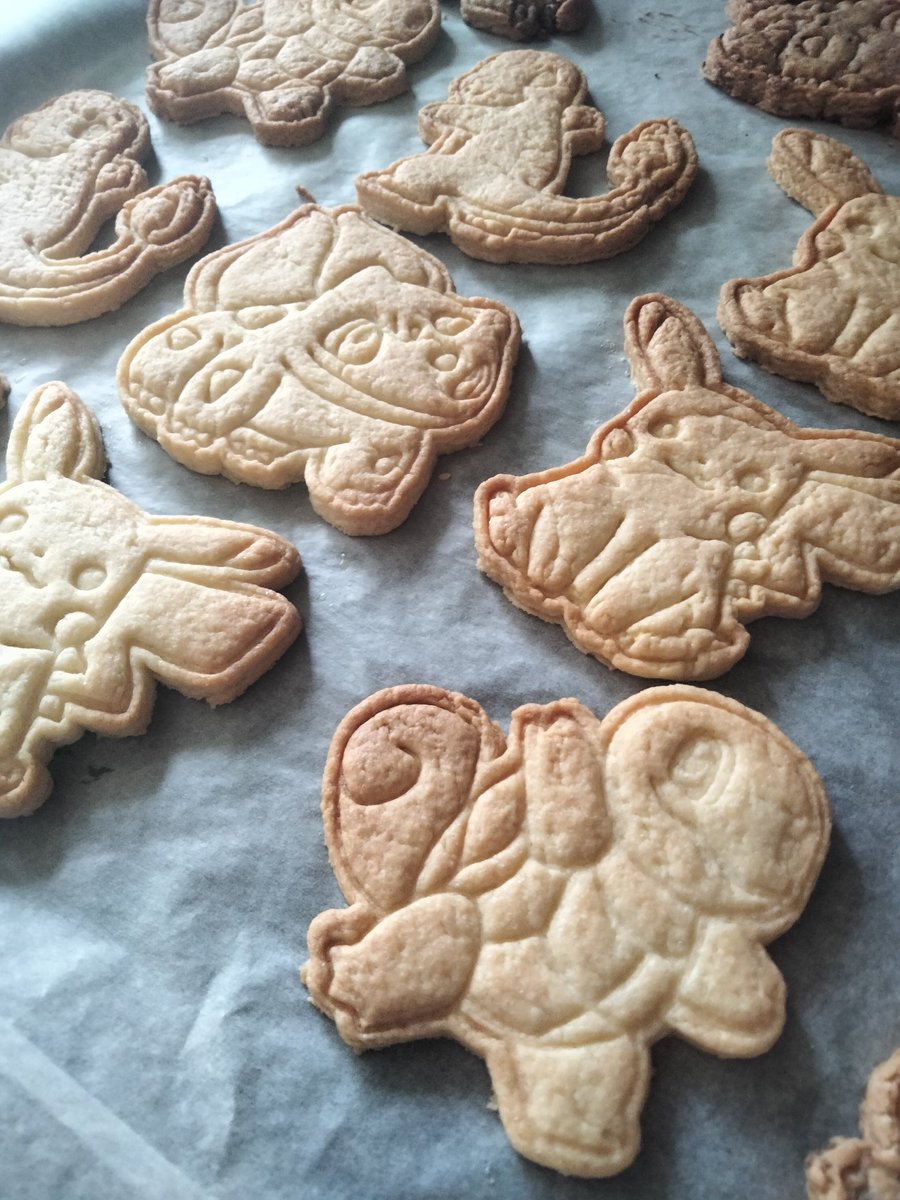 elisalbatross's tweet photo. Quel type de Pokémon manges-tu 🎶🍪 ! https://t.co/OkTa1FB5WL