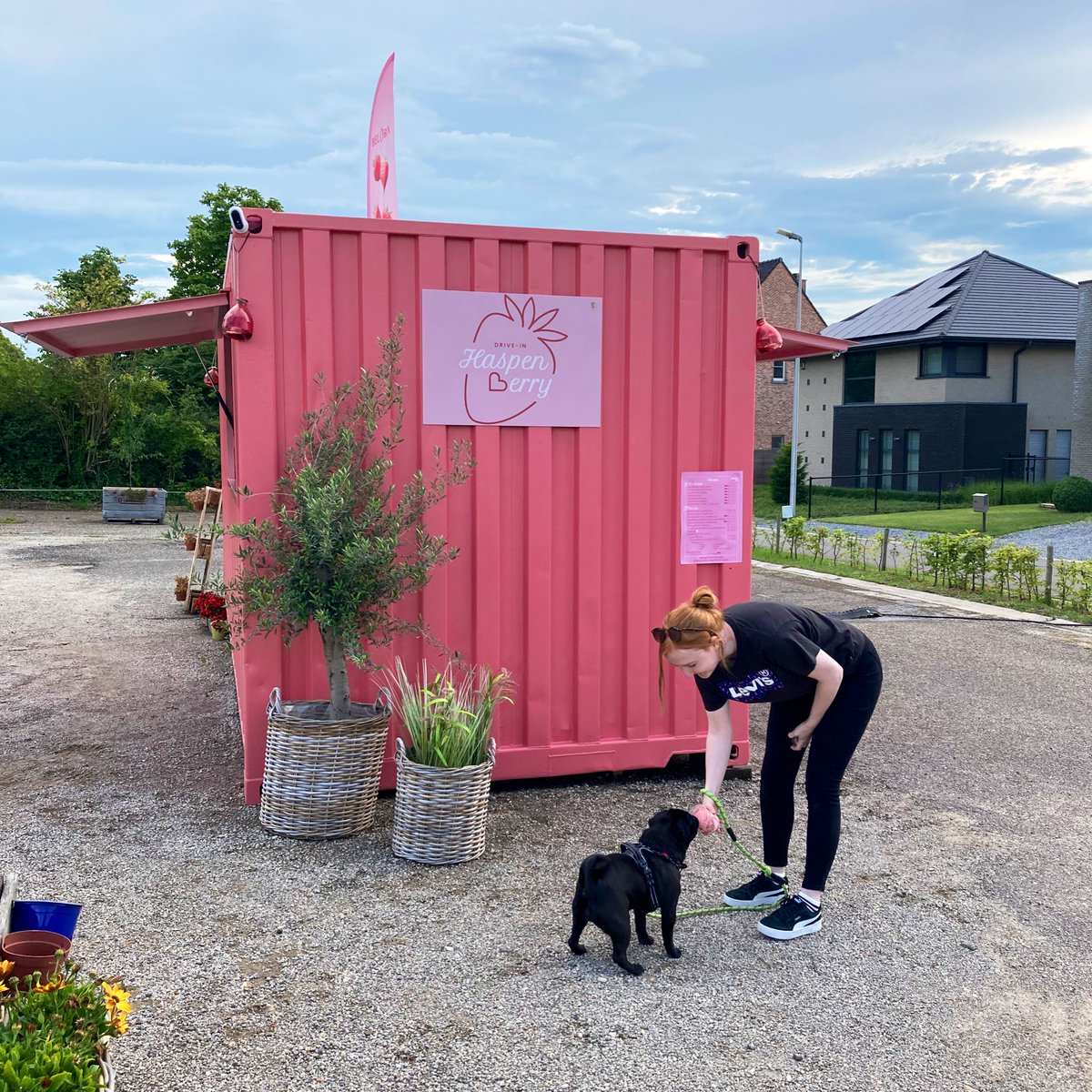 katethedon's tweet photo. recap of this weekend 🌸 https://t.co/Uw6LP2uO2l