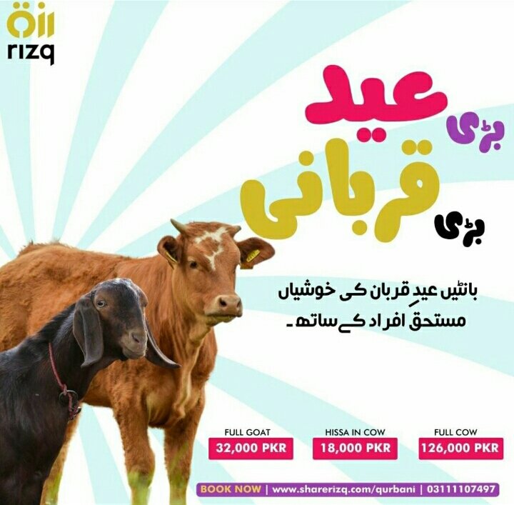 934XOXO's tweet photo. #RIZQQURBANI  #RIZQ #HUNGERFREEPAKISTAN 
https://t.co/F05H4FNeHB
 Referal code:RQTCSDHA22 https://t.co/W7MwEnpGk0