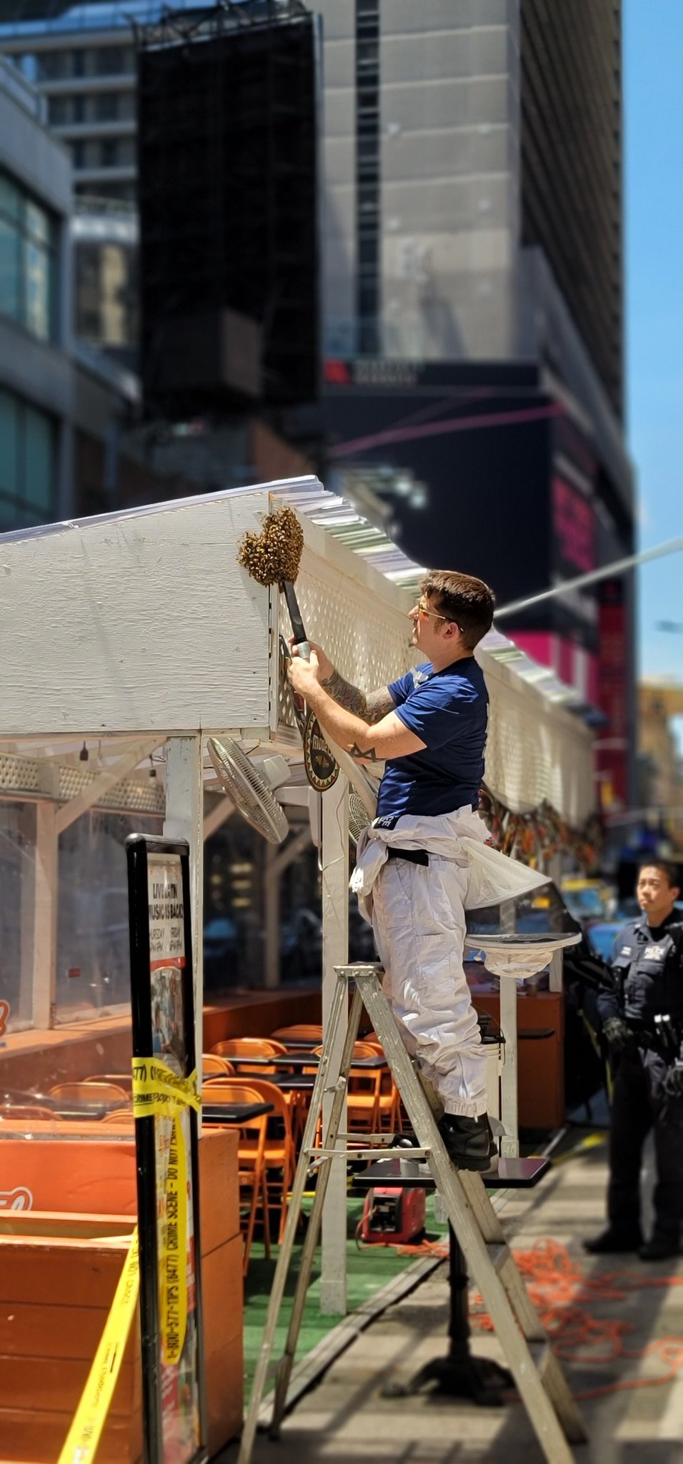 Bee Swarm in NYC Takes Over Times Square Restaurant FWM7gqKWIAYNNKi.jpg:large
