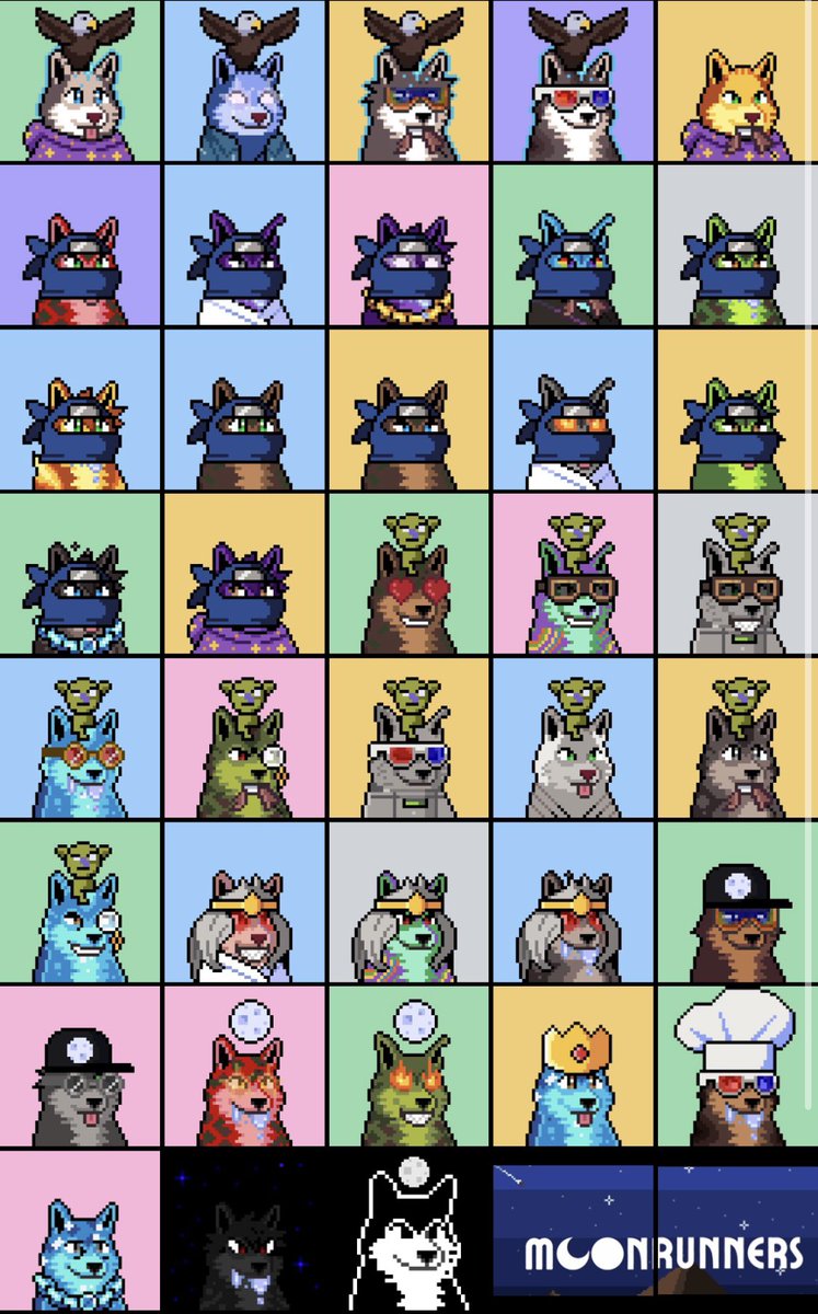 roymaj's tweet photo. Where my runners at??
AWOOOOOOOOOO!!!!
@MoonrunnersNFT 🌙 https://t.co/GTTYgKozIB