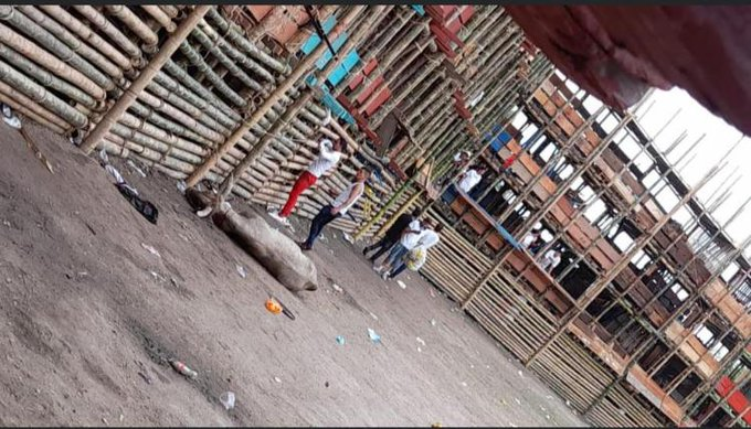 paolaeyre's tweet photo. No puedo sentir empatía por alguien que se goza del sufrimiento de otro ser vivo.
Bien merecida la caída de esa corraleja, por hptas.
#Espinal https://t.co/VPHbmewQNr