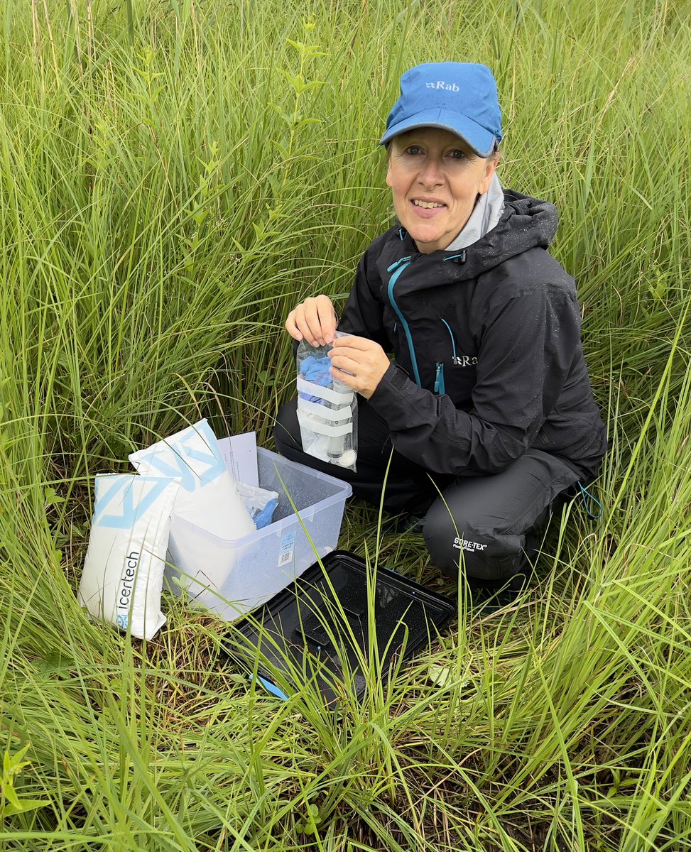 Mel Burton tweet media