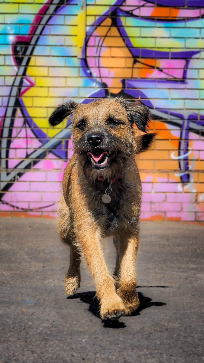 Ready for the week pals 🐶? #btposse