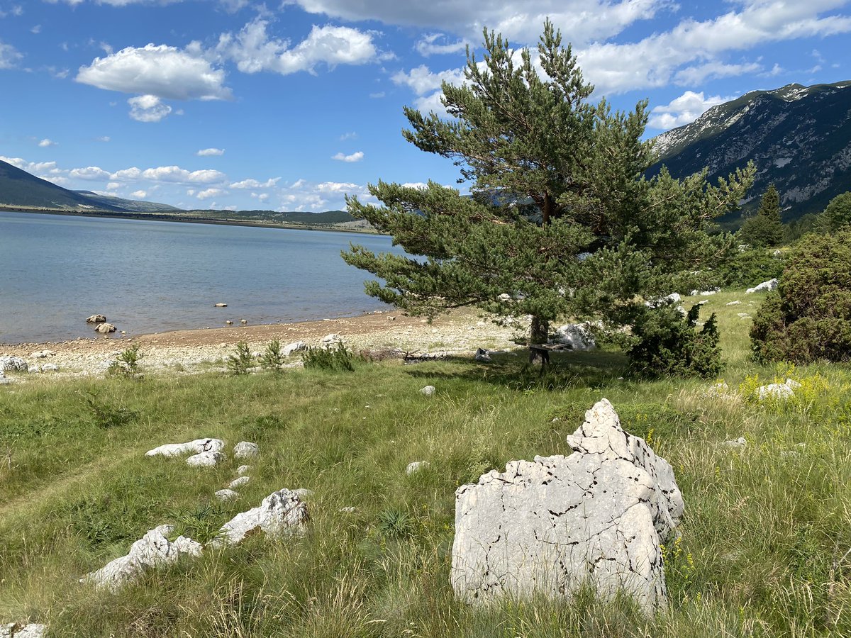 josattler's tweet photo. Blidinje plateau & lake at 1200m. #LijepaBiH #Putuj387 🇧🇦🇪🇺 https://t.co/k9TkZHmUJY