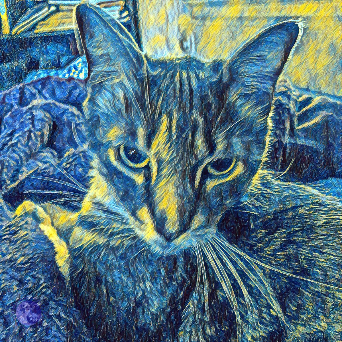 WayofCatsbook's tweet photo. Use π§ NEW POST! The Indirect Ask has a hidden reason. *Passholders - CatSpeak at the Way of Cats https://t.co/hRc1iLwKR0
Another case of #HelpItsAnAlpha, starring Bud-Bud the ever-evolving Spud.
#CatBrains #CatsOfTwitter #CatAppreciators #CatTypes https://t.co/7JBA9JvUgk