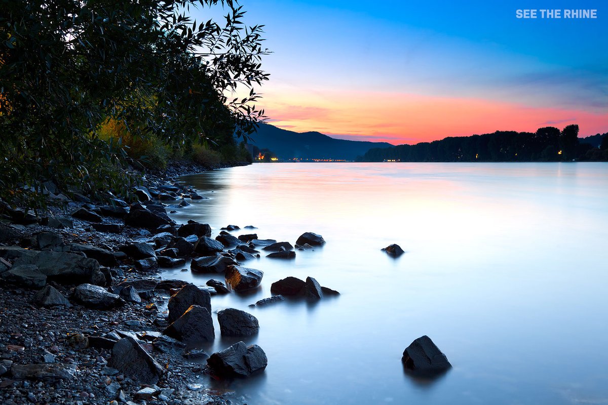 The Rhine at Rhens, Rhineland-Palatinate 🇩🇪

#RLPerleben #Mittelrheintal #Deutschland