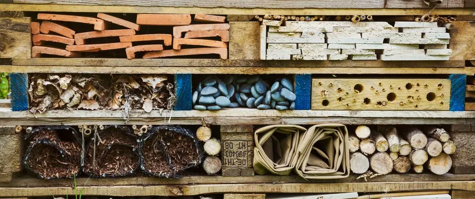 GdnsIllustrated's tweet photo. How to make a bug hotel: a fun activity to do with the kids #insectweek2022 #LittleThingsThatRunTheWorld https://t.co/kpnmi6VTAO https://t.co/CQUKrSJUmC