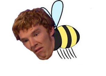 ᴍʏ ᴅᴏɢ ꜱᴛᴇᴘᴘᴇᴅ ᴏɴ ᴀ ʙᴇᴇ

the bee: