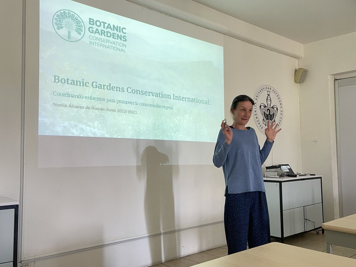 MexicoGcco's tweet photo. BGCI staff never stop working! Thanks to Noelia Alvarez GTC and Dan Crowley GCC, who visited and gave two talks in JBUBUAP on Saturday and supervise research projects in conservation. @MortonGTCP @ArbNetorg @bgci @JardinBuap @globaltrees @Tree_Spotter https://t.co/eD0Ybr3HlO