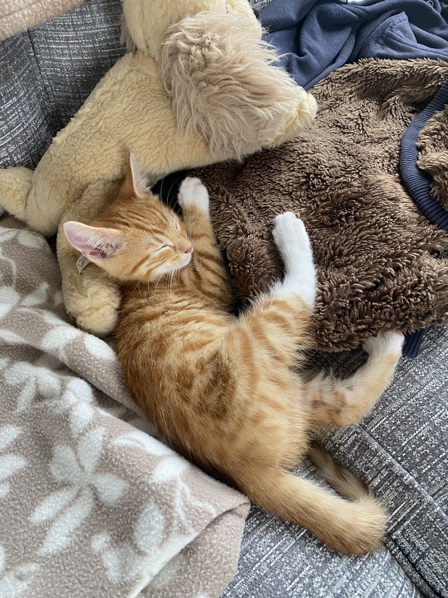 Roger Paynter tweet media