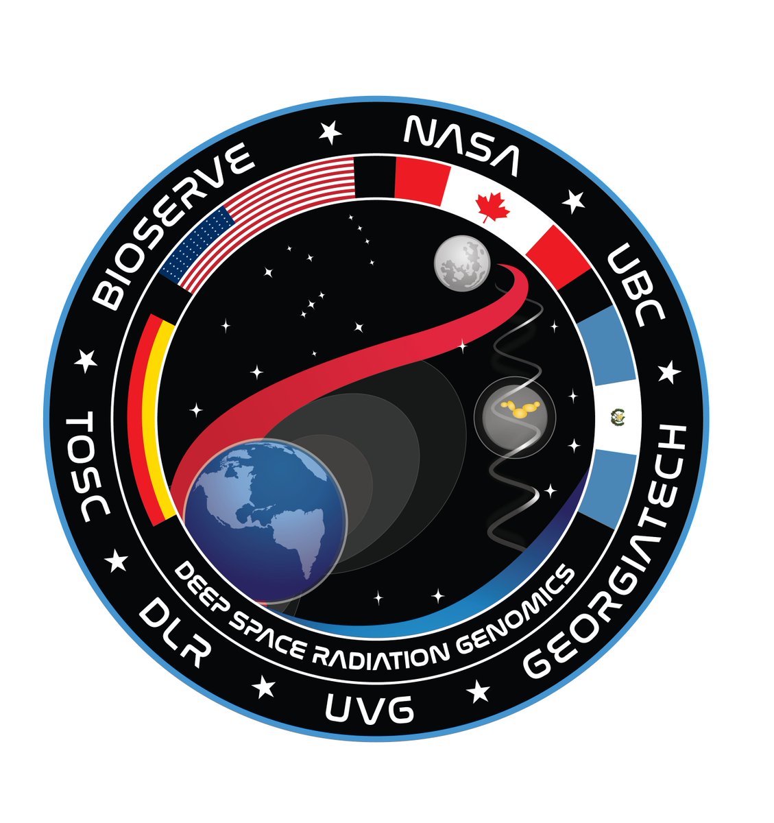 SpaceLuisZea's tweet photo. The #DSRG experiment is a collaboration between @BioServeST, @CUBoulder, @UBC, @DLR_en, @GeorgiaTech, JACOBS, &amp; @uvggt. This manuscript was prepared w/@coreynislow1, @HamidKian10, @flyingcircuits, @Pame_FloresA, @c_e_carr, @RalfMoeller5 &amp; 7 more #TeamWork DSRG's 2 objectives are: https://t.co/a21TohK5k6