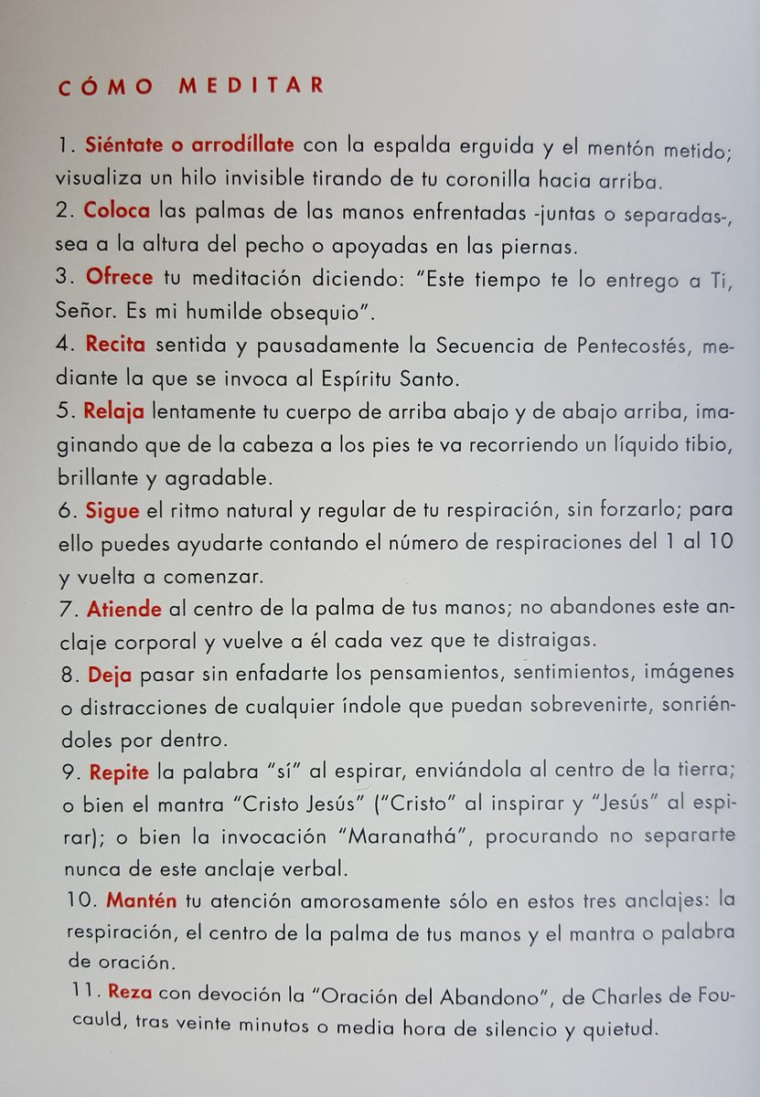 Las pautas de meditación de los Amigos del Desierto, red fundada por el escritor y sacerdote católico Pablo d'Ors, están mayormente basadas en la tradición de los hesicastas y los Padres del Desierto, pero integran también técnicas de Carlos de Foucauld, del hinduismo y del zen.