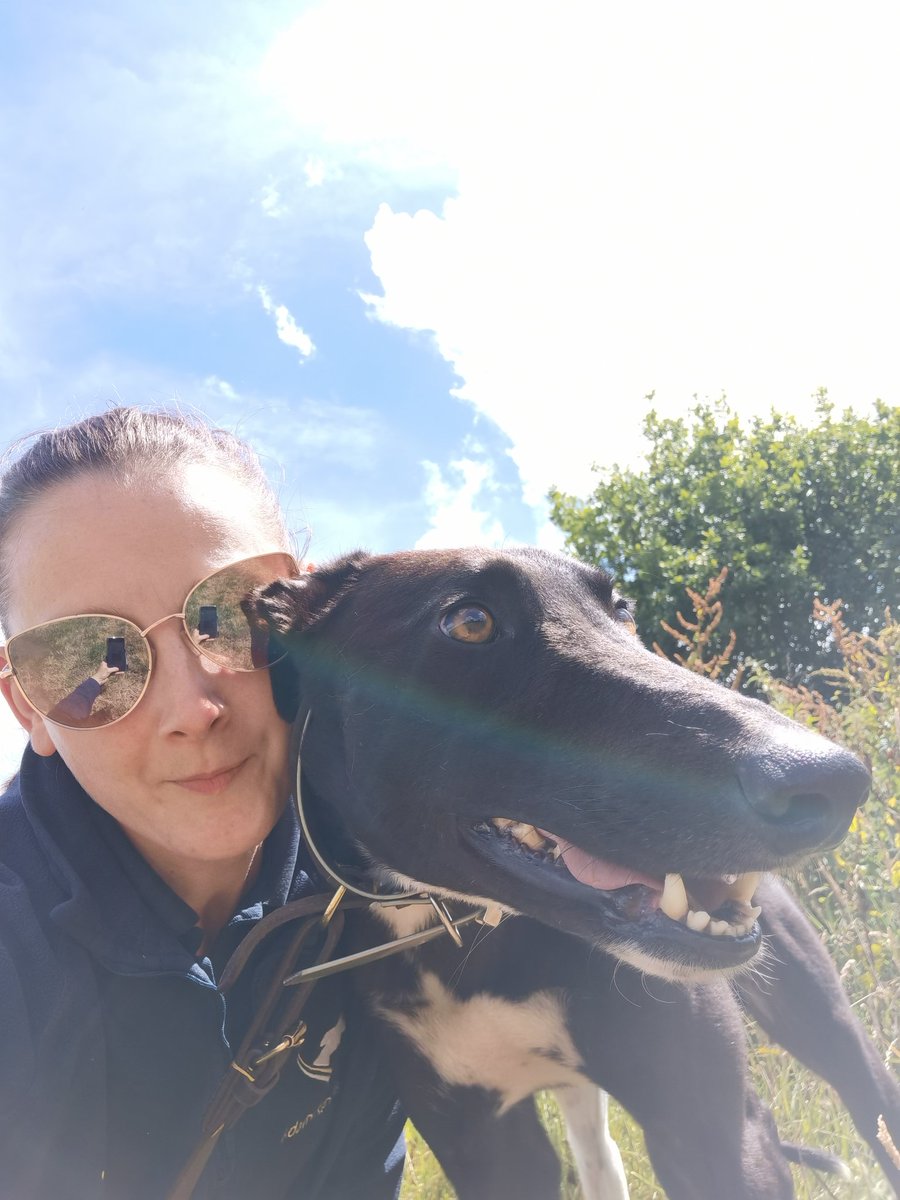 adachikennels's tweet photo. Took my new boy George out for a walk today! His mate Bandit decided to join us as well 😊
#adachikennels #ownersday #NewinnExtra https://t.co/AgDzPVbonE